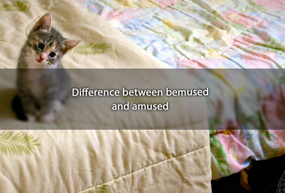 difference-between-bemused-and-amused