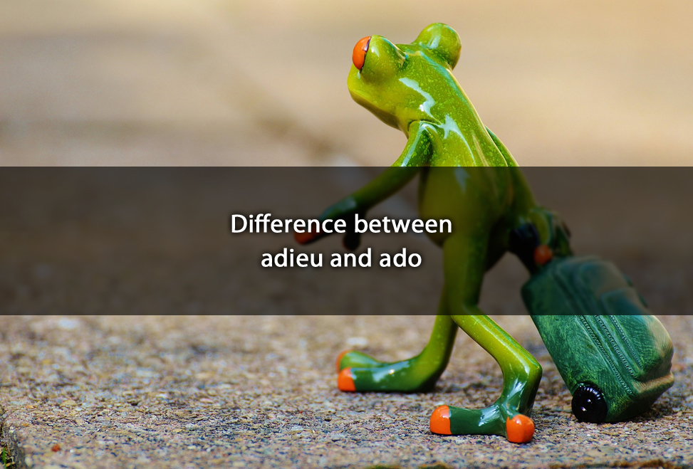 difference-between-adieu-and-ado