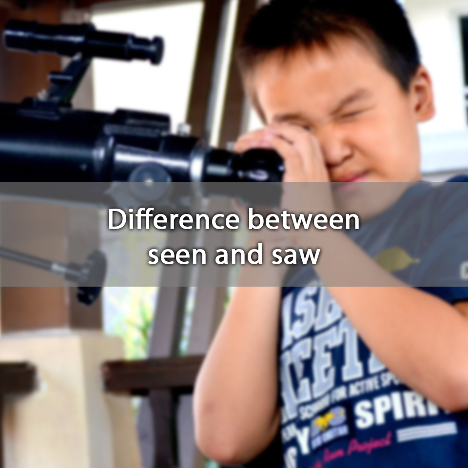 Difference Between Seen And Saw